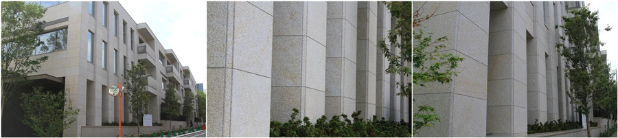 G682 Wall cladding G682 Wall cladding
