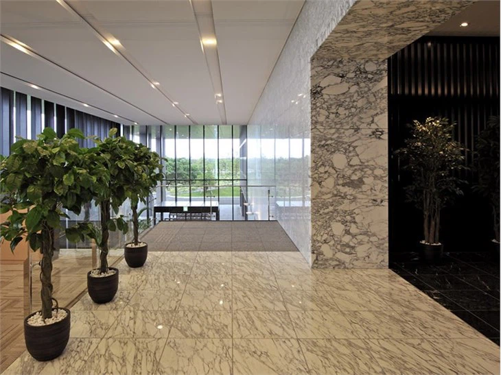Arabescato white Marble (2)